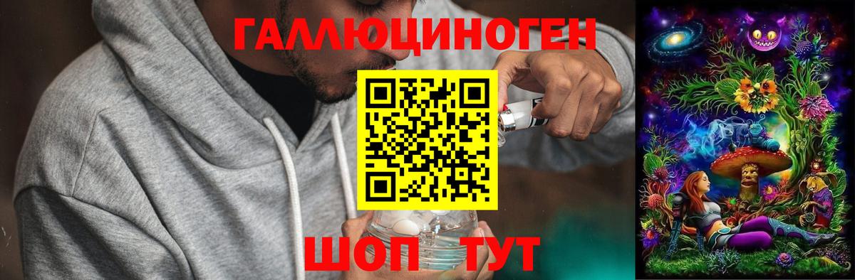 Галлюциногенные грибы Psilocybine cubensis Чебоксары
